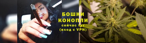 сатива Покачи