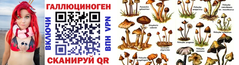 Галлюциногенные грибы мухоморы Сурск